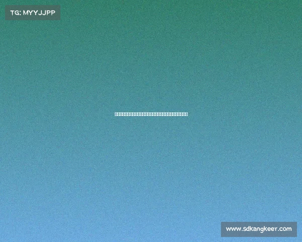 盛哲分析湖人附加赛前景詹姆斯伤情是关键巨星优势能否带队走远